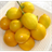 Lemon Matching icon