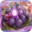 Mangosteen Jigsaw Puzzles icon