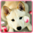 My Little Dogs Jigsaw icon