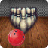 Real Awesome Bowling 3D icon
