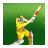T20 Cricket icon