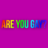 The Gay Test icon