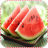 Watermelon Jigsaw Puzzle icon