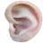 AcuMap EAR icon