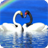 Beautiful Birds Wallpapers icon