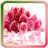 Beautiful Pink Flowers icon