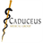 Caduceus version 7.0