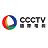 ccctv icon