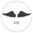 CCEMEDICO icon