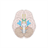 Cranial_Nerves icon