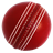 Cricket Carnival APK Download