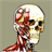 Flash Anatomy Head & Neck Muscles icon