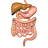 Gastroenterology Quiz icon