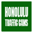 Hawaii Live Traffic Cams icon