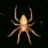 Spider Bites Suck icon