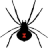 Spider Solitaire Cards Game APK Download
