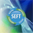 SEFT version 1.0