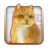 Talking Lovely Cat icon