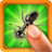 Tap the Bug icon