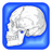 Human Body Facts icon