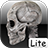 Human skeleton 2D icon