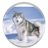 Husky Wallpaper icon
