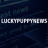 luckypuppy icon