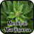 Medical Marijuana Treatment version 1.0