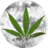 Noticias de Marihuana icon