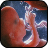 Pregnancy Stages icon
