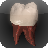 Tooth Trial APK Download