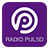 Radio Pulso icon