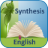 Synthesis English Demo version 1.2.1