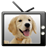 Dog TV icon