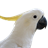 Parrot TV icon