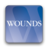 Wounds icon