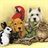 ALL PETS CLINIC icon