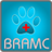 BRAMC icon