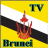 Brunei TV Sat Info version 1.0