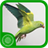 Burung Parkit APK Download