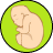 Fetal Biometry icon