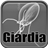Giardia Infection version 0.0.1