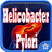 Helicobacter Pylori Disease icon