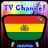 Info TV Channel Bolivia HD 1.0