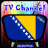 Info TV Channel Bosnia HD 1.0