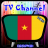 Info TV Channel Cameroon HD icon