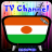 Info TV Channel Niger HD icon