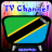 Info TV Channel Tanzania HD icon