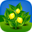 Vegetable Garden Grow icon