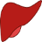 Liver Disease icon